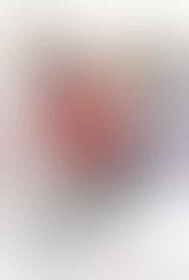 آنوهانا: گلی که آن روز دیدیم