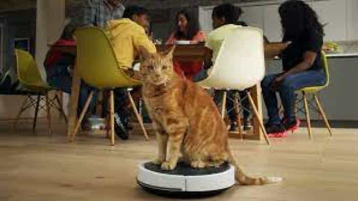 نقد و بررسی سریال زندگی پنهان حیوانات خانگی (2022) | چی‌بینو