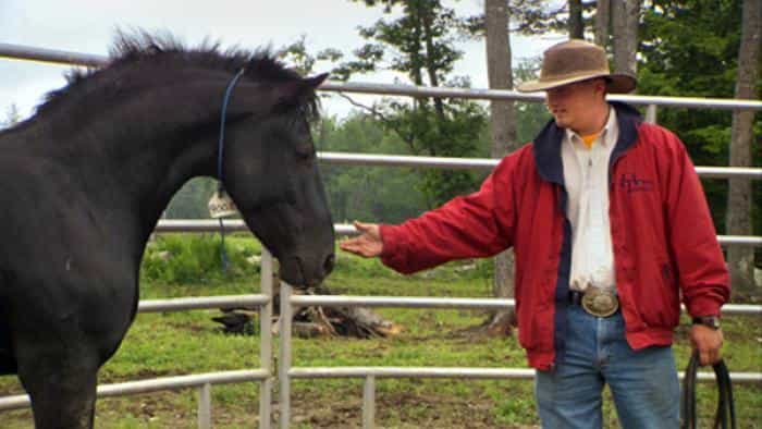 نقد و بررسی فیلم اسب وحشی، سواری وحشی (2011) | چی‌بینو