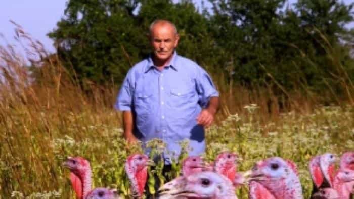 نقد و بررسی فیلم خوردن حیوانات محصول سال 2017 | چی‌بینو