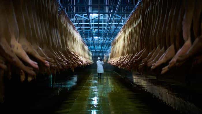 نقد و بررسی فیلم خوردن حیوانات محصول سال 2017 | چی‌بینو