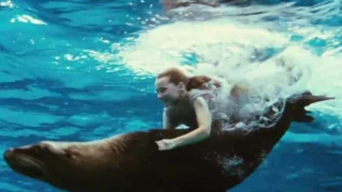 نقد و بررسی فیلم بازگشت به جزیره نیم (2013) | چی‌بینو