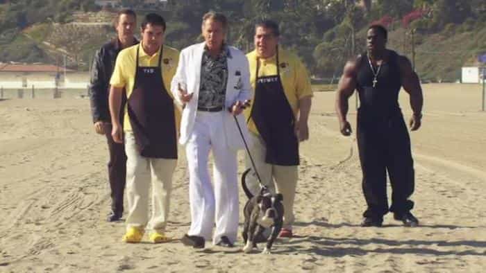 نقد و بررسی فیلم سگی که تعطیلات را نجات داد (2012) | چی‌بینو