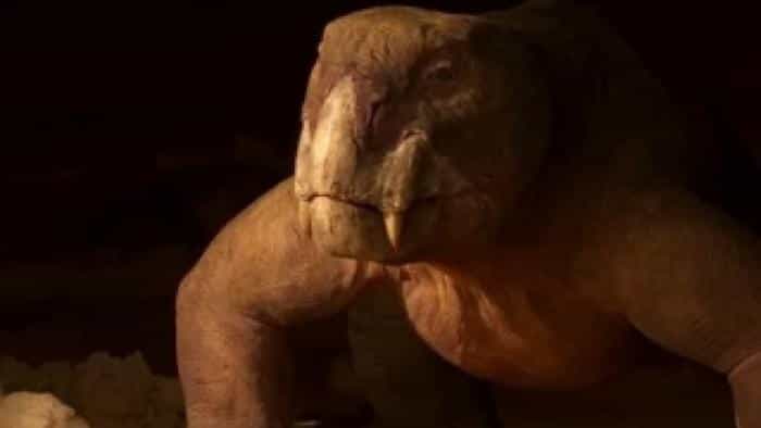 تماشای سریال حیات در سیاره ما محصول سال 2023 | چی‌بینو