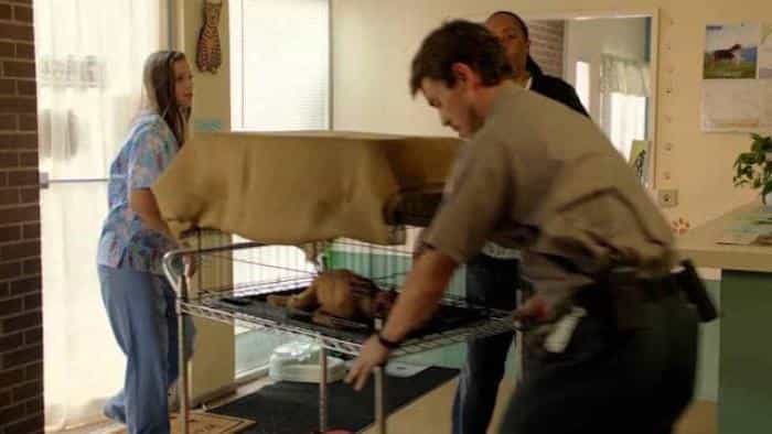 نقد و بررسی فیلم امید سوزی محصول سال 2013 | چی‌بینو