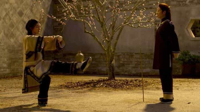 تماشای فیلم ببر خیزان اژدهای نهان 2 محصول سال 2016 | چی‌بینو