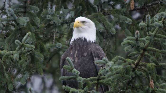 نقد و بررسی سریال بازی ترس و بقا محصول سال 2023 | چی‌بینو