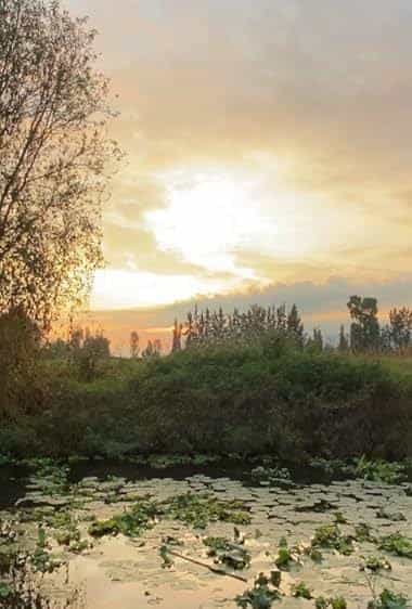 مسیر ادویه: آمریکای لاتین