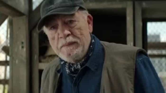 تماشای فیلم بال کوچک محصول سال 2024 | چیبینو