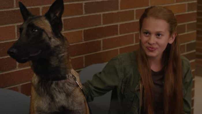 نقد و بررسی فیلم ماجراجویی سگ‌های پلیس: ا...(2014) | چی‌بینو