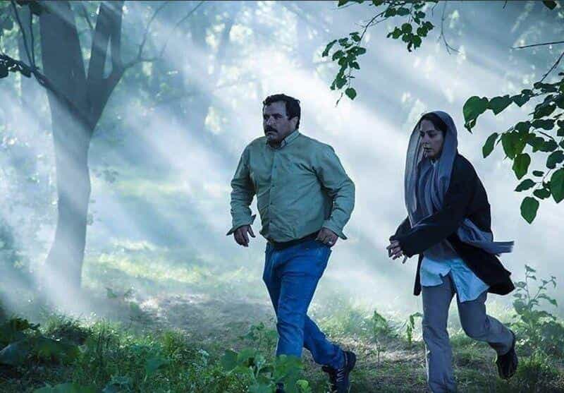 نقد و بررسی فیلم در آغوش درخت محصول سال 2023 | چی‌بینو