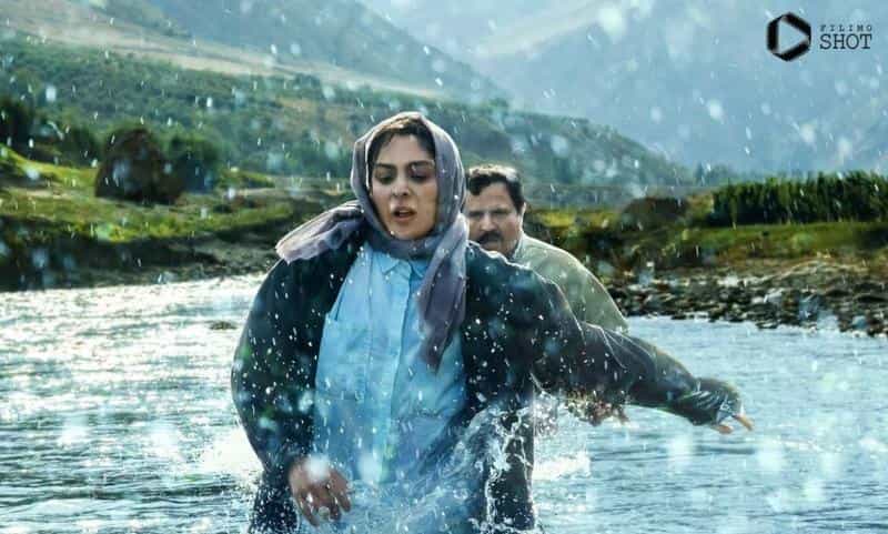 نقد و بررسی فیلم در آغوش درخت محصول سال 2023 | چی‌بینو