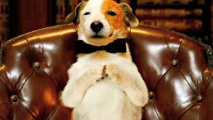 نقد و بررسی فیلم سگ میلیونر محصول سال 2014 | چی‌بینو