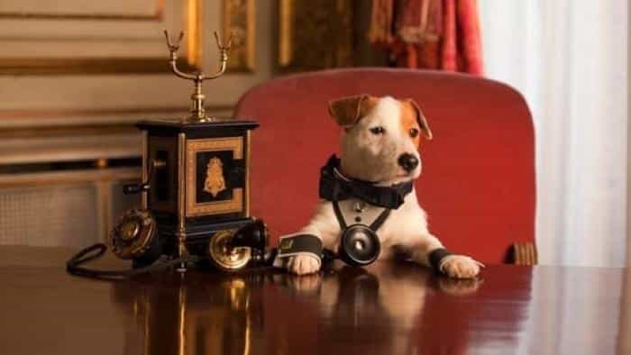 نقد و بررسی فیلم سگ میلیونر محصول سال 2014 | چی‌بینو