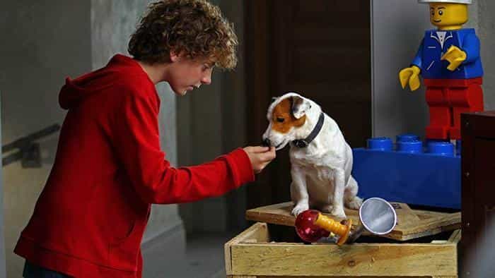 نقد و بررسی فیلم سگ میلیونر محصول سال 2014 | چی‌بینو