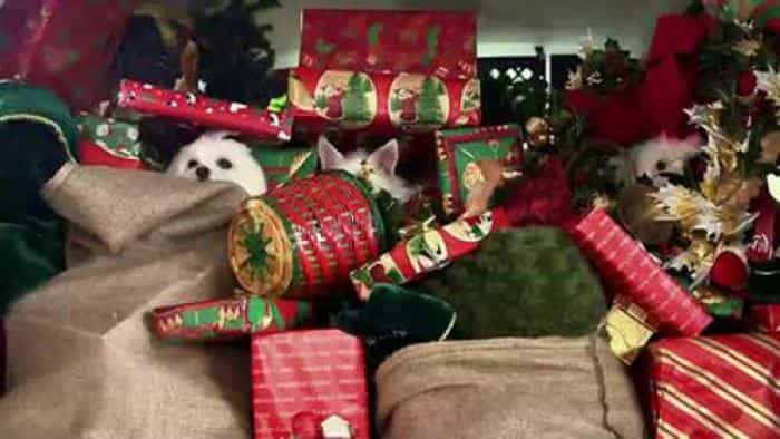 نقد و بررسی فیلم سه سگ شجاع محصول سال 2014 | چی‌بینو