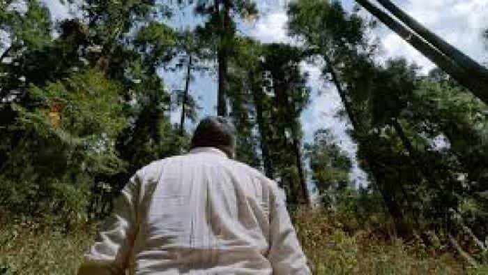 نقد و بررسی فیلم نگهبان پادشاهان محصول سال 2024 | چی‌بینو