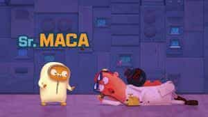 تماشای انیمیشن ماکا و رونی محصول سال 2019 | چی‌بینو