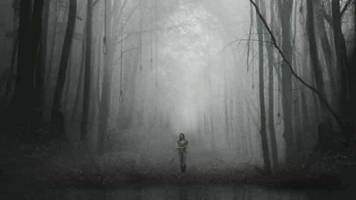 نقد و بررسی فیلم جنگل محصول سال 2016 | چیبینو