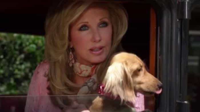 نقد و بررسی فیلم مسابقات جهانی سگ‌های داکسند (2016)