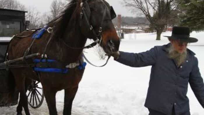 نقد و بررسی سریال بازگشت به آمیش محصول سال 2014 | چی‌بینو