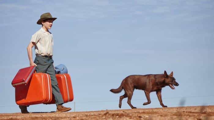 نقد و بررسی فیلم سگ قرمز: آبی واقعی محصول سال 2016 | چی‌بینو