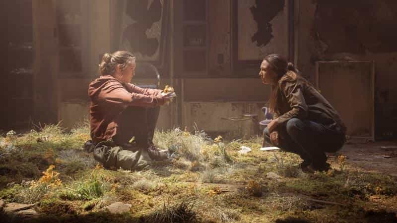 تماشای سریال آخرین بازمانده از ما ( فصل دوم) (2023)