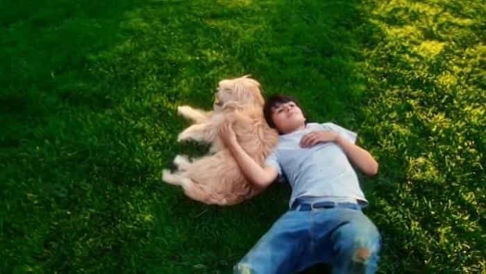 نقد و بررسی فیلم بنی زشت محصول سال 2014 | چی‌بینو