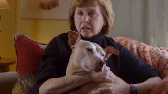 نقد و بررسی فیلم قهرمانان محصول سال 2015 | چی‌بینو