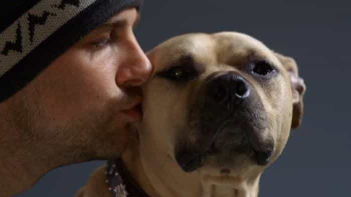 نقد و بررسی فیلم قهرمانان محصول سال 2015 | چی‌بینو