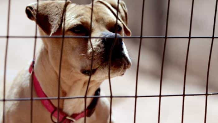 نقد و بررسی فیلم قهرمانان محصول سال 2015 | چی‌بینو