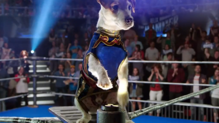 نقد و بررسی فیلم جنون راسل محصول سال 2015 | چی‌بینو