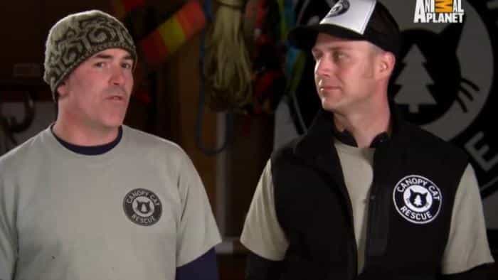 نقد و بررسی سریال نجات گربه از بالای درخت (2015) | چی‌بینو