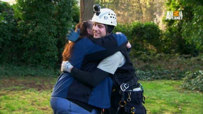 نقد و بررسی سریال نجات گربه از بالای درخت (2015) | چی‌بینو