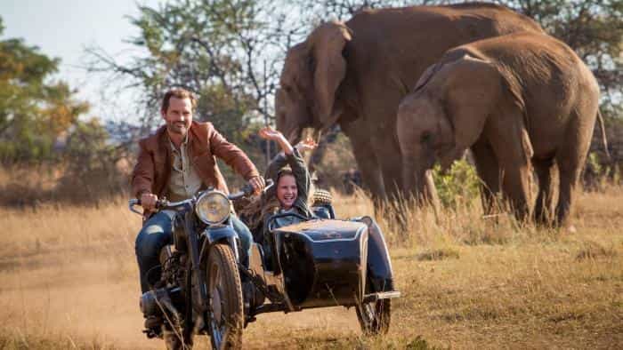 نقد و بررسی فیلم میا و شیر سفید محصول سال 2018 | چی‌بینو