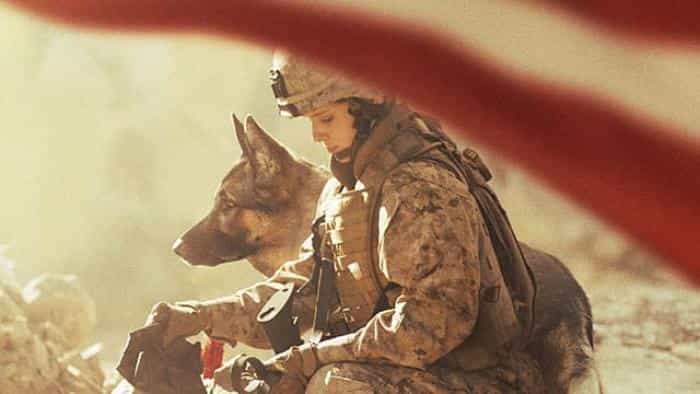 تماشای فیلم مگان لوی محصول سال 2017 | چی‌بینو