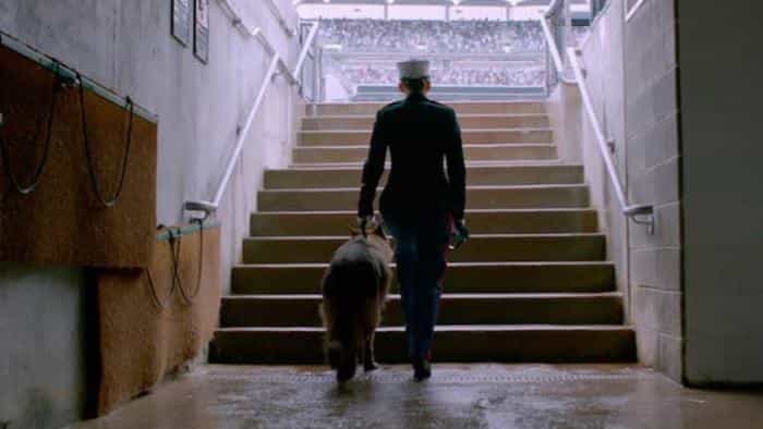 تماشای فیلم مگان لوی محصول سال 2017 | چی‌بینو