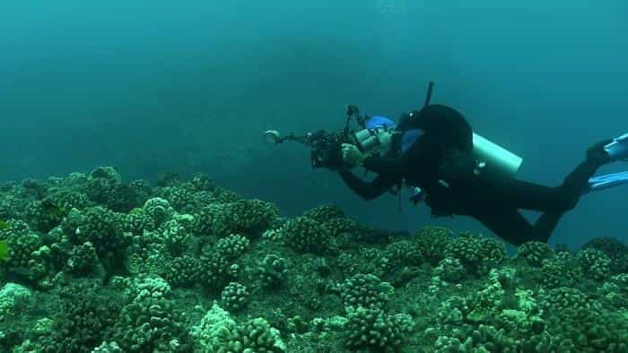 نقد و بررسی فیلم سرگرمی تاریک محصول سال 2021 | چی‌بینو