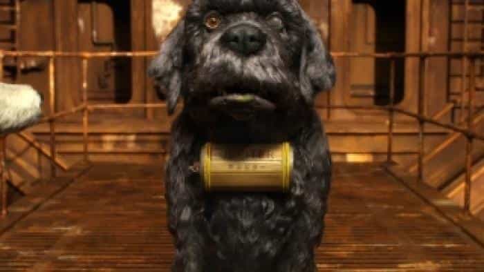 نقد و بررسی انیمیشن جزیره سگ‌ها محصول سال 2018 | چی‌بینو