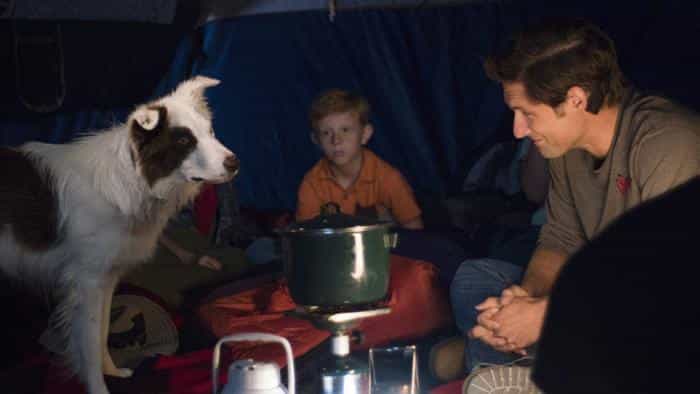 نقد و بررسی فیلم گمشده محصول سال 2017 | چیبینو