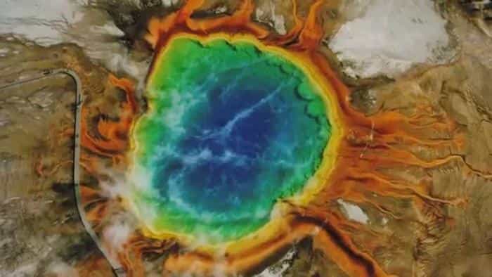 نقد و بررسی فیلم ماجراجویی در پارک‌های ملی (2016) | چی‌بینو