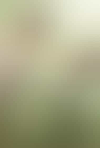 مهتاب نقاشی شده با ابر (عشق در مهتاب)