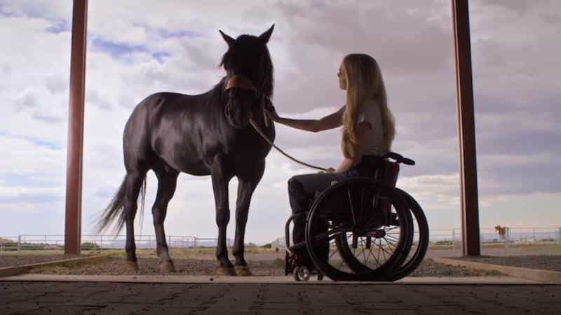 تماشای فیلم پیاده روی رودئو محصول سال 2019 | چی‌بینو