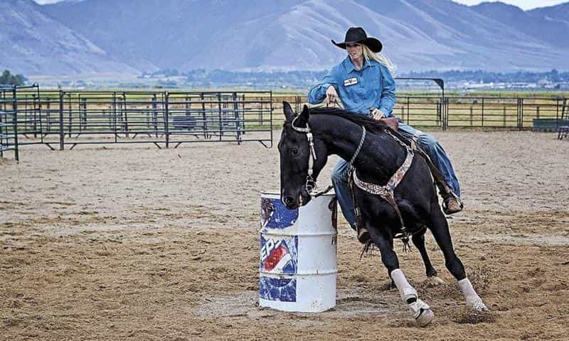 تماشای فیلم پیاده روی رودئو محصول سال 2019 | چی‌بینو