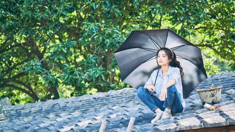 تماشای فیلم جنگل کوچک محصول سال 2018 | چی‌بینو