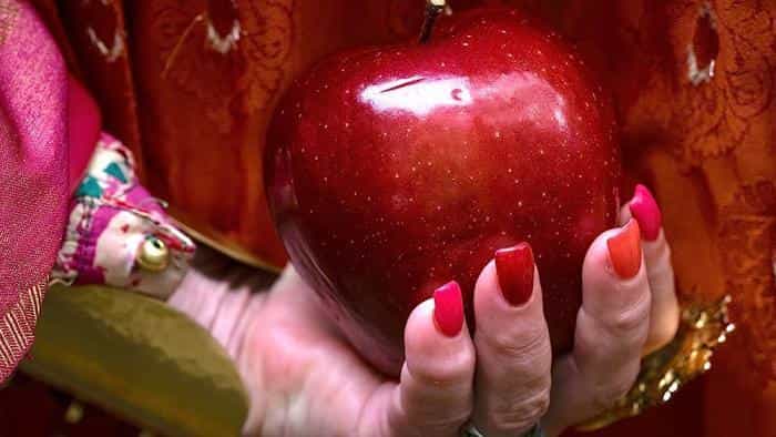 تماشای فیلم واندرول محصول سال 2023 | چی‌بینو