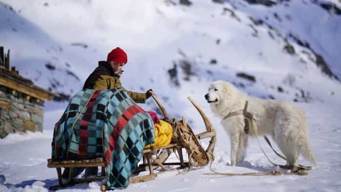 نقد و بررسی فیلم بل و سباستین، دوستان برای زندگی (2017)
