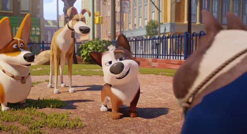 تماشای انیمیشن تروبل محصول سال 2019 | چیبینو