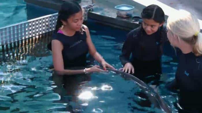 نقد و بررسی سریال ترفندهای زندگی برای کودکان: در جاده (2018)