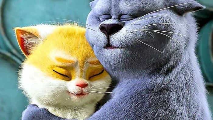 تماشای انیمیشن گربه‌ ها در هلوآباد محصول سال 2018 | چی‌بینو